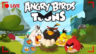 🔴 LIVE Angry Birds Party  Toons Season 1 All Episodes [upl. by Kahn745]