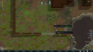 How to Defend During Raids in Rimworld [upl. by Ecnerrat441]