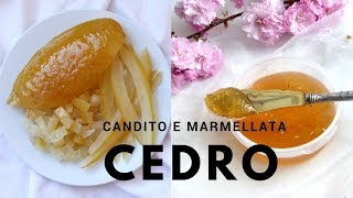 RICETTA CEDRO CANDITO  MARMELLATA di Cedro fatta in casa RICETTE DI GABRI Kitchen Brasita [upl. by Suidualc]