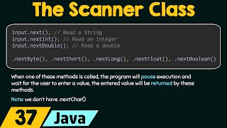 The Scanner Class in Java [upl. by Nitsua]