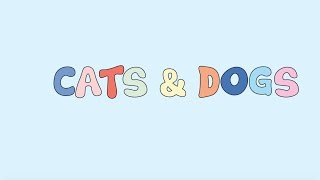 Best Coast  Cats amp Dogs Official Lyric Video [upl. by Gennifer60]