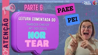 PARTE 6 Leitura do Nortear  PARECER CNECP Nº502023 PEI e PAEE [upl. by Sibyl]