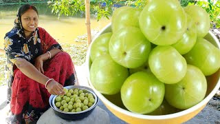 সর্দি কাশি গ্যাস অম্বল দূর করতে আমলকী এইভাবে একবার খেয়ে দেখুন দারুন উপকার পাবেন  amla recipe [upl. by Carmela]