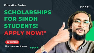 SEEF Scholarships for Sindh Students  Why They Matter amp How to Get Started  Education Series [upl. by Bork853]