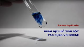 Thí nghiệm Dung dịch hồ tinh bột tác dụng với iodine iốt I2 [upl. by Sholes]