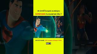 Part 11 ఈ సూపర్ పెంపుడు జంతువులు SUPER MAN ని కాపడతాయా లేదా   shorts youtubeshorts [upl. by Saerdna]