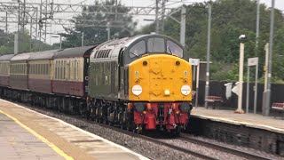 LOCOMOTIVE D213 Class 40013 ANDANIA at Bushey station 05082023 [upl. by Nivle553]