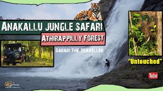 ANAKALLU JUNGLE SAFARI  ATHIRAPPILLY FOREST SAFARI അതിരപ്പിള്ളി ഉൾക്കാടുകൾ അറിയാൻ അവസരം [upl. by Odama]