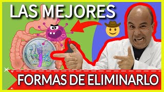 ⚠️ Cómo eliminar las bacterias del intestino  SIBO TRATAMIENTO Natural🌲 o con Fármacos 🤔❓ [upl. by Lzeil]