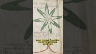 The Voynich Manuscript One of Historys Greatest Mysteries [upl. by Irret]