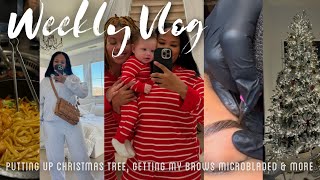 Weekly Vlog  Putting Up Christmas Tree Getting Brows Microbladed Ranting amp More  Arnell Armon [upl. by Hardman]