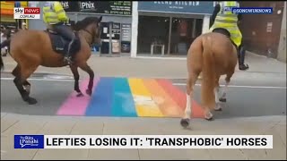 Transphobic horses spooked by rainbow crossing [upl. by Bouzoun]