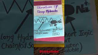 Chemistry Project Class 12 Soaps and Detergents Final Practical CBSE Boards Science  MsPriyanka [upl. by Maxy]