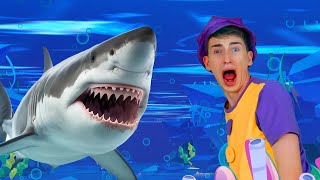 Sharks in the Water 🦈 amp Naughty Kid  MORE  Kids Funny Songs [upl. by Brigid]