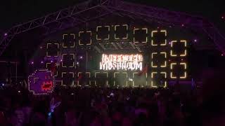 Infected Mushroom at Beyond Wonderland [upl. by Melody]