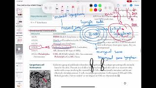 chromosomal translocation haematology 91 First Aid USMLE Step 1 in UrduHindi [upl. by Haig]