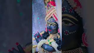 tere sahare hai meri naiya bhajan shortvideo please like and subscribe to my channel ❤️ [upl. by Amerd]