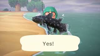 catching a coelacanth in animal crossing [upl. by Lenz202]