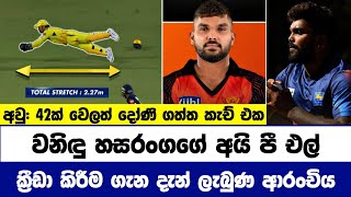 වනිඳු හසරංගගේ 2024 IPL තරඟයට ක්‍රීඩා කිරීම ගැන දැන් ලැබුණ ආරංචිය මෙන්න  Cricket Lowa [upl. by Oringa102]