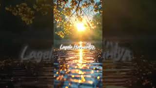 Oth Chunmuniya Lagela Harmonia Status 🥵 Neelkamal Singh viral Status Video ytshorts [upl. by Aneehsal]