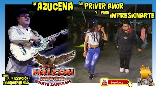 Halcón Huasteco de Marte Santana  la Azucena Mi Primer Amor y para Impresionarte [upl. by Anaeg]