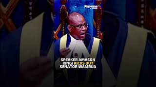 Speaker Amason Kingi Kicks Out Senator Wambua [upl. by Nabru]