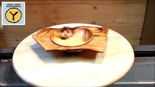 Woodturning A Natural Edged Winged Olive Bowl [upl. by Nosemyaj]