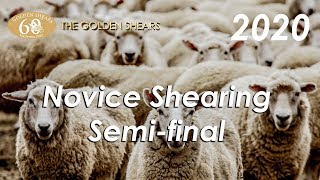 Novice Shearing Semifinal  2020 Golden Shears 60th Anniversary [upl. by Giovanna]