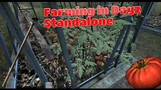 How to Farm in Dayz Standalone [upl. by Eicram]