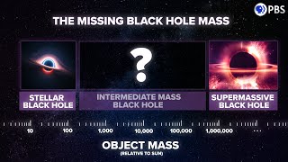 Did JWST SOLVE The Mystery of Supermassive Black Hole Origins [upl. by Ardnuahs]