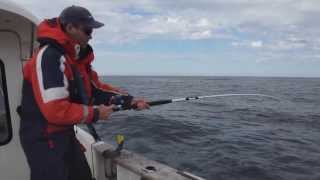 Norway Sea Fishing DÅFJORD Norwegen 2013 [upl. by Nomit996]