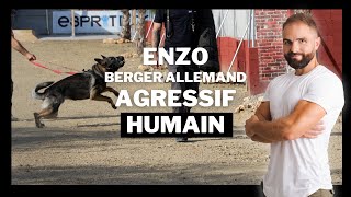 ENZO  Berger Allemand Agressif  Chien Incompris Ep 8 [upl. by Dietsche]