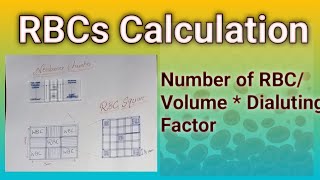 RBCs Calculation Formula hematology microscope dmlt Bsmlt [upl. by Walker877]