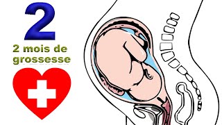 Deuxième mois de grossesse  notre corps sadapte EnceinteSante [upl. by Nysa]