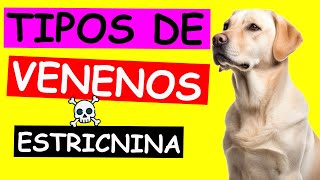 Tipos de VENENOS y su ANTÍDOTO en PERROS ESTRICNINA [upl. by Ziegler107]