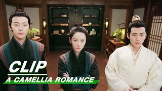 Clip Zhou Appreciates Xus Intelligence  A Camellia Romance EP18  许纯纯的茶花运  iQiyi [upl. by Rus]