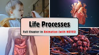 Life Processes Class 10 Science Biology  One Shot Full Chapter in Animation  With PDF Notes [upl. by Alenoel61]