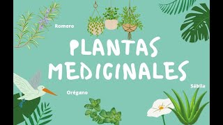 Plantas medicinales para niños [upl. by Oyek]