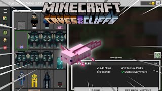 Minecraft PE 118 4D Mobs Skin  Project 8 [upl. by Yauq253]