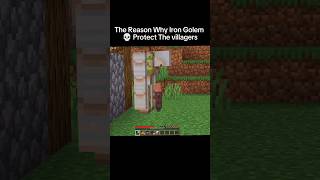 The Reason Why Iron Golem 💀Protect The Village funny minecraft viralshort [upl. by Isleana]