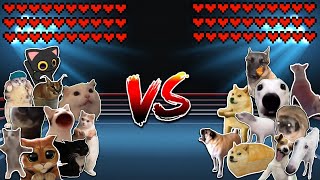 10 Cats vs 10 Dogs Meme battle [upl. by Enihpled67]