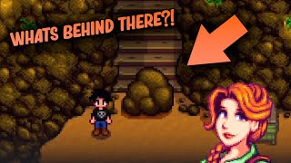 Stardew Valley Whats Behind The Boulder By The Train Station [upl. by Auhesoj]