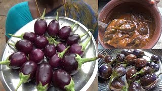 எண்ணெய் கத்திரிக்காய் புளிக்குழம்பு செய்முறை  Ennai Kathirikai Kulambu Brinjal gravy tamil [upl. by Foley]