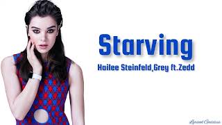 Hailee steinfeld  Grey  Starving ft Zedd lyrics video [upl. by Yllek]