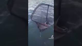 Snapper Fishing QLD boat fish adventure family red dog bribieisland [upl. by Oralia]