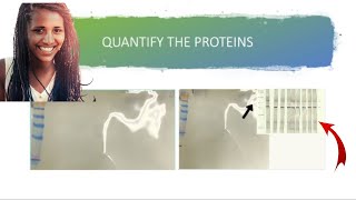 ⚖️ Quantifying Western Blot Bands with ImageJ StepbyStep Tutorial for Accurate Analysis [upl. by Lanny]