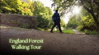 The Most Astonishing Rainforest walk  hiking and trails in Lancashire UK Walking ambience [upl. by Twum50]