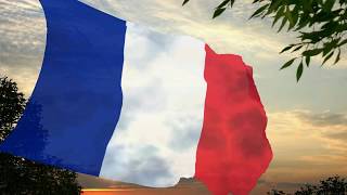 Flag and anthem of France CC [upl. by Lairbag]