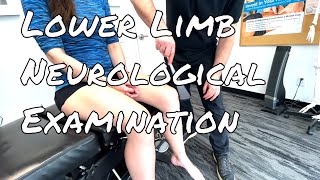 Lower Limb Neuro Examination [upl. by Sahpec912]