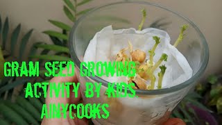 Gram Seed Germination Kids Science Activity  AinyCooks [upl. by Enamrej843]